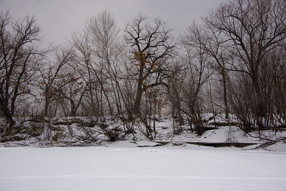 _DSC1868.jpg