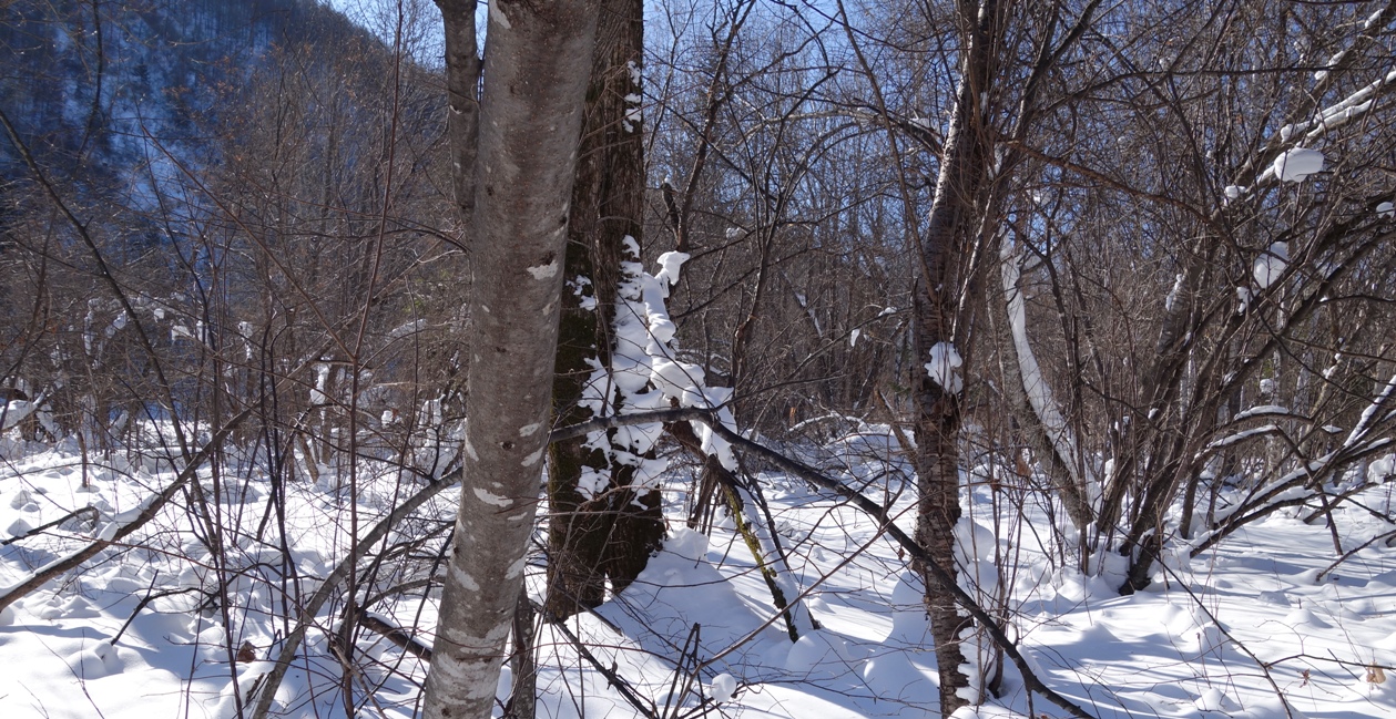 _DSC3418.JPG