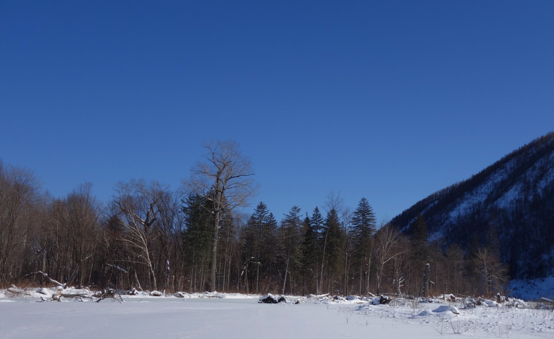 _DSC3424.JPG