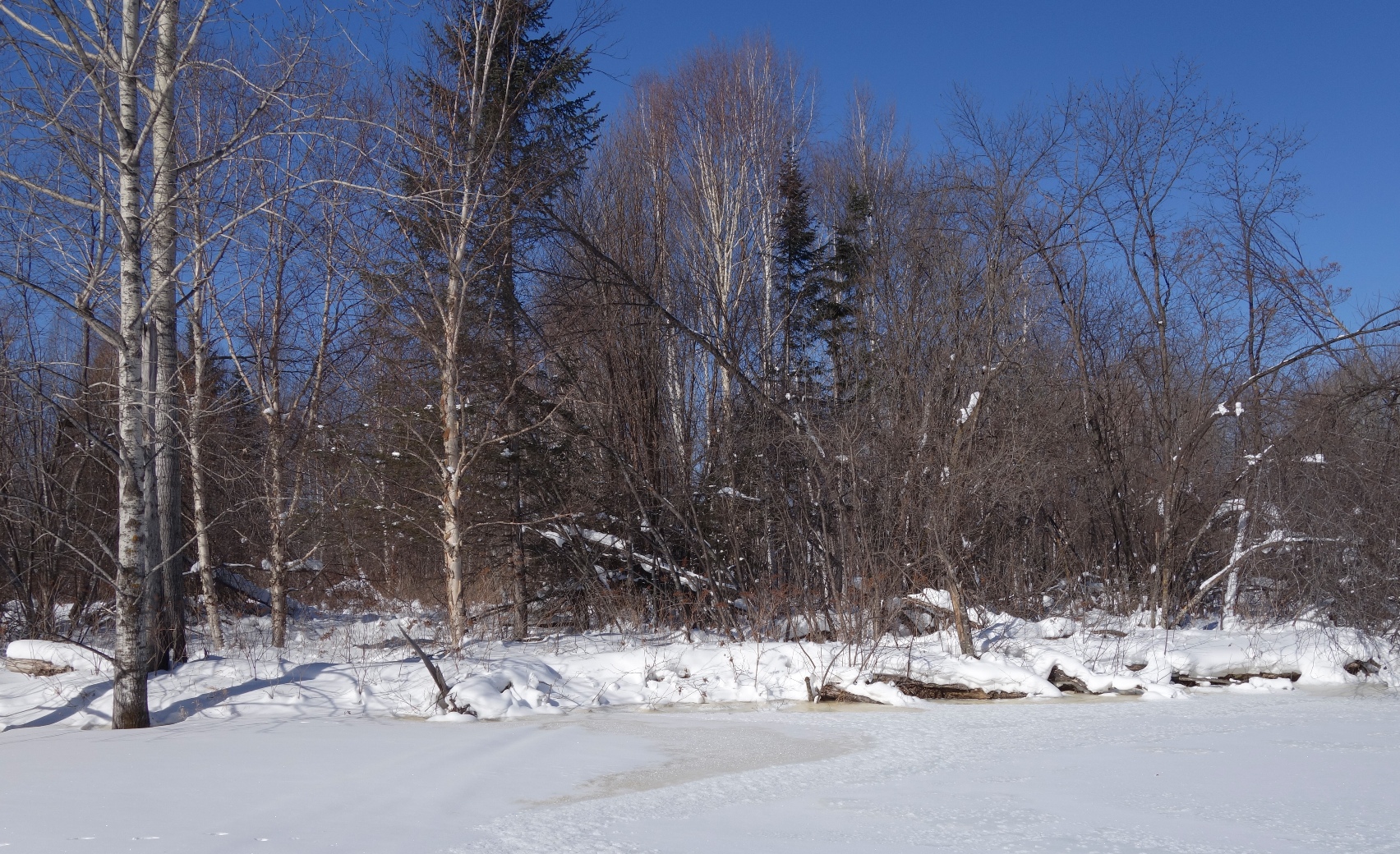 _DSC3437.JPG