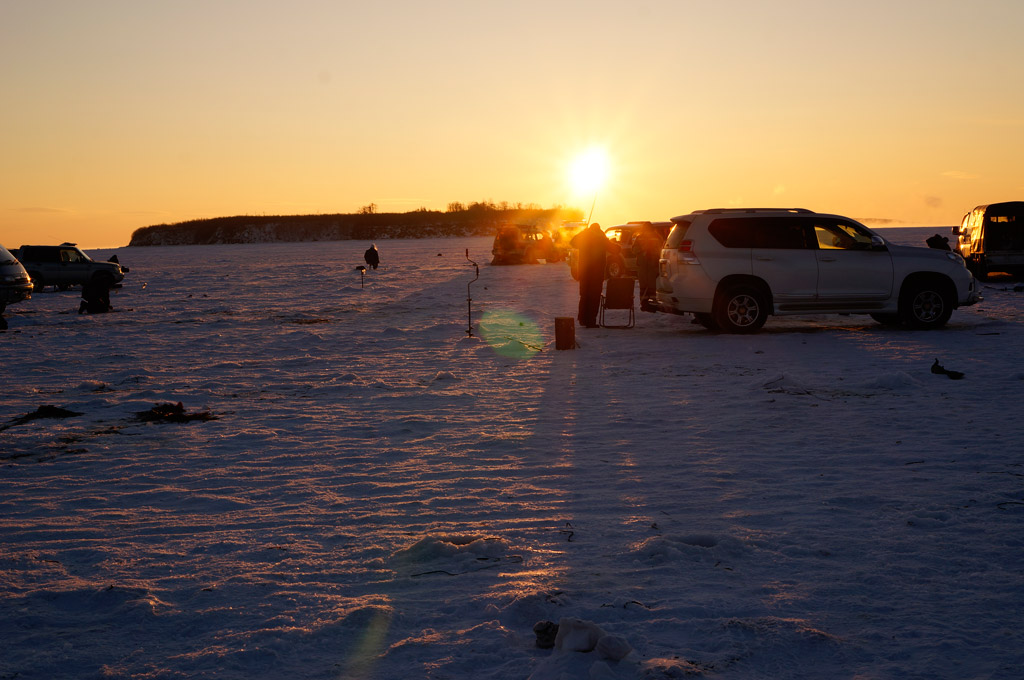 _DSC5509.jpg