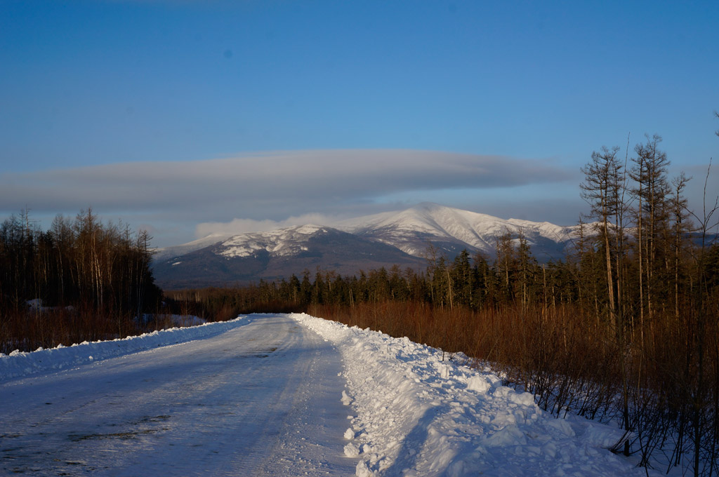 _DSC5515.jpg
