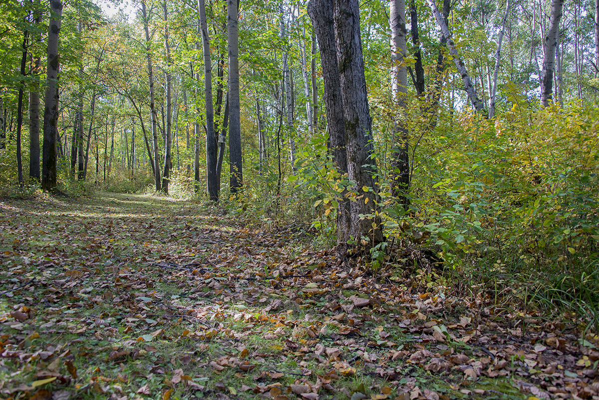 _DSC7413.jpg