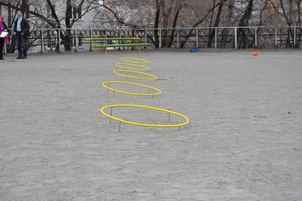 _DSC8883.jpg