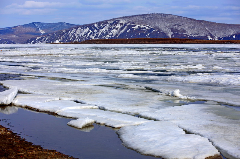 _MG_0226.jpg