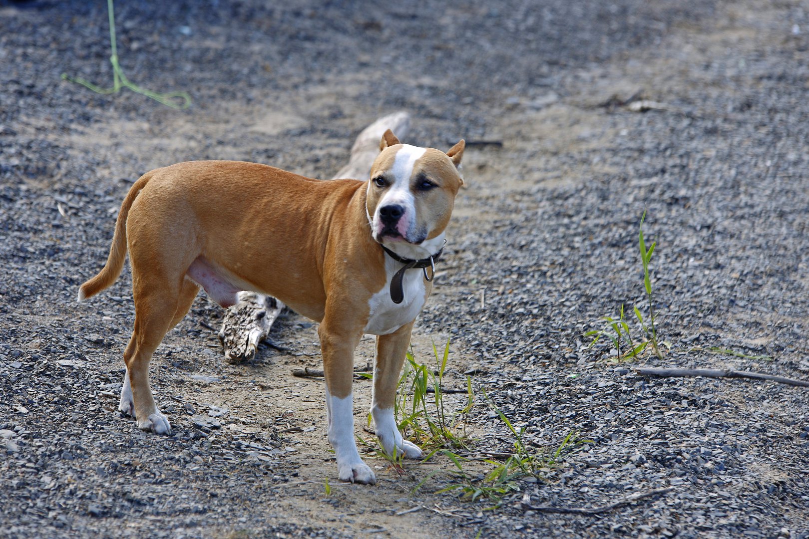 _MG_3294.jpg