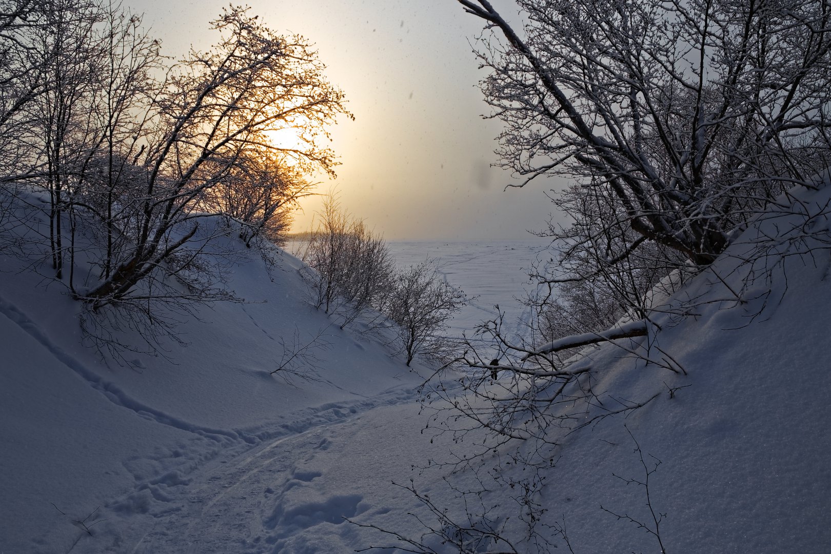 _MG_6817_DxO.jpg