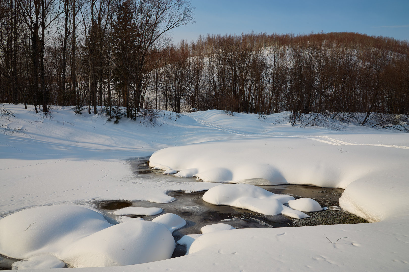 _MG_6982.jpg