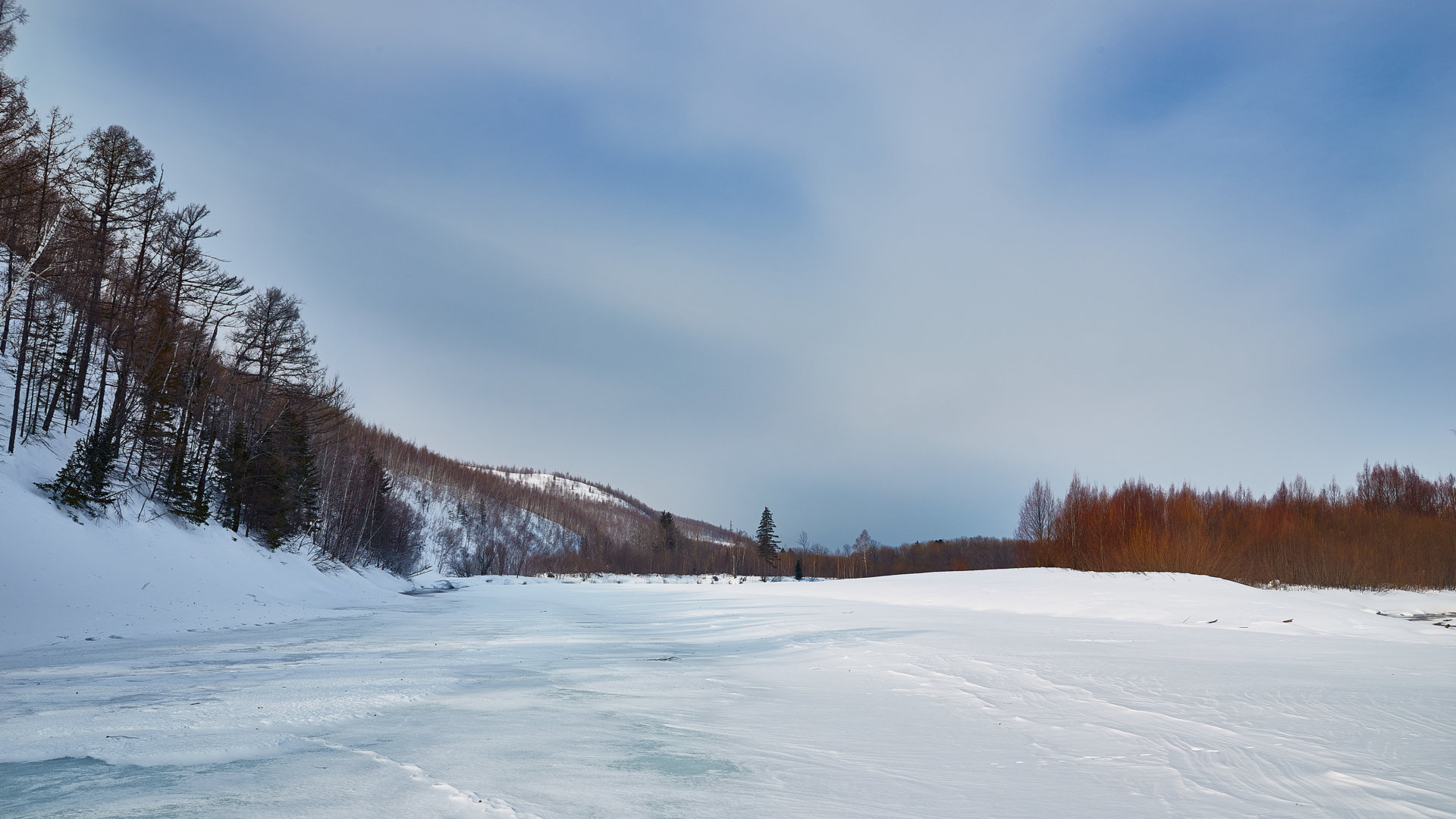 _MG_6998.jpg