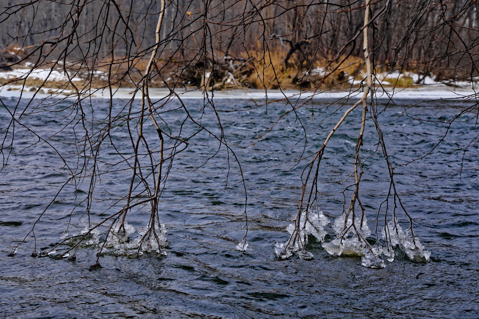 _MG_9228_DxO.jpg