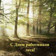 A1EA1456-ACC6-483A-90E4-D7E0D029EB7D.jpeg