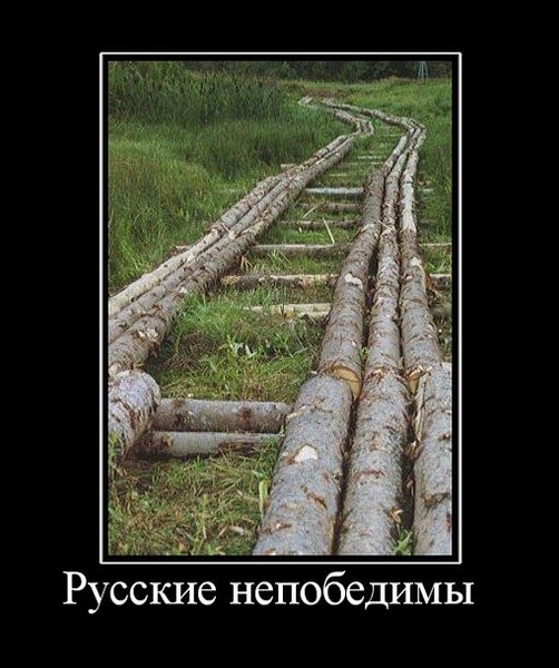a218fd6c3a6cb28171fc49c62c056d96_i-80.jpg