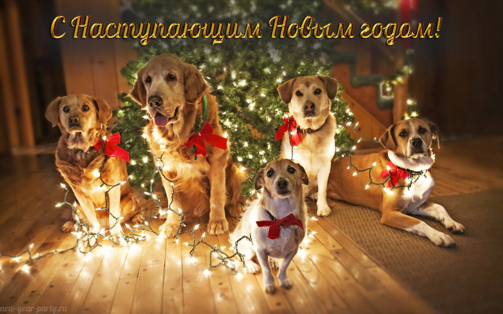 A2F9B609-5EC8-4082-8426-EE3F594C1544.jpeg