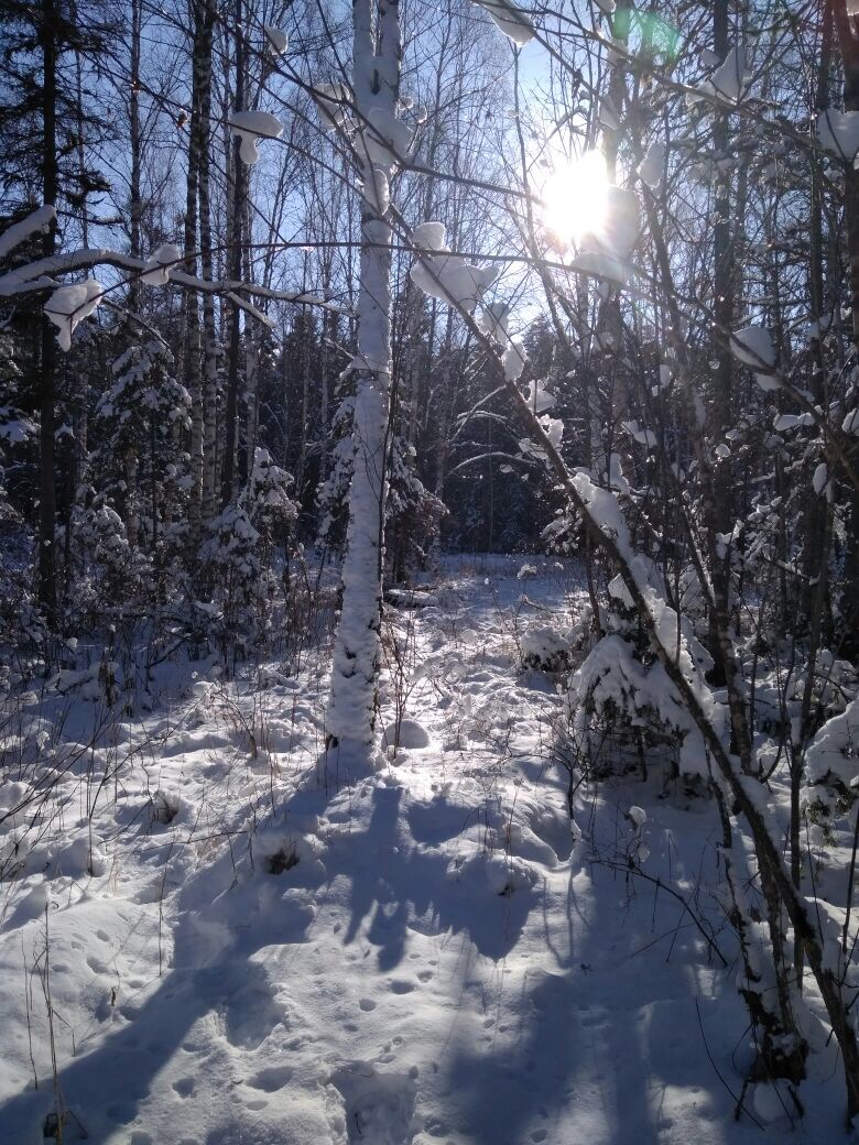 A5EA0EB3-962F-4D47-BE52-196C723B8AC4.jpeg