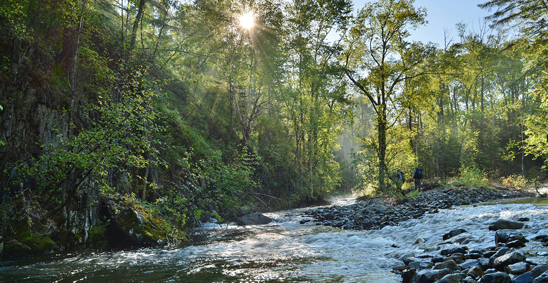 ааа.jpg ааа.jpg