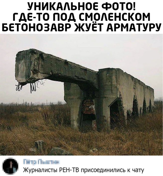 acqZYqIwaV4.jpg