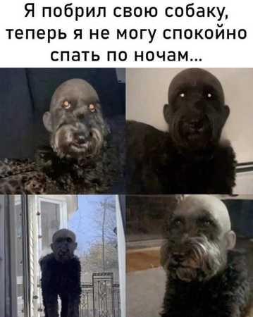 ae4ae7a3d5eb88f2eefe82fd636a5da7.jpg