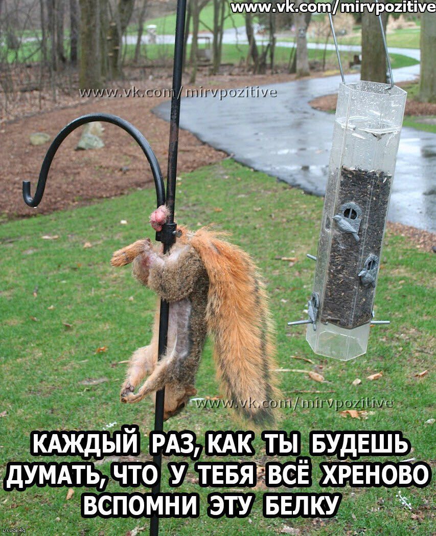 Айфон 3 марта 2017 018.JPG