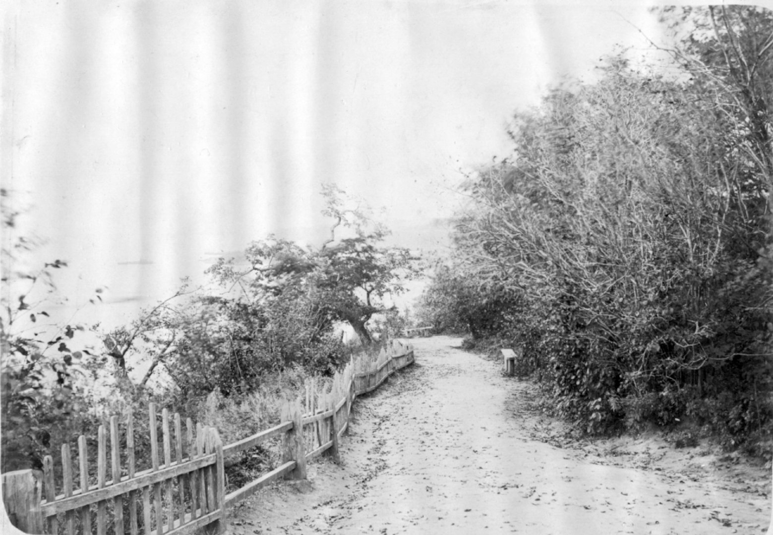 Аллея городского парка, ведущая к городским купальням.jpg