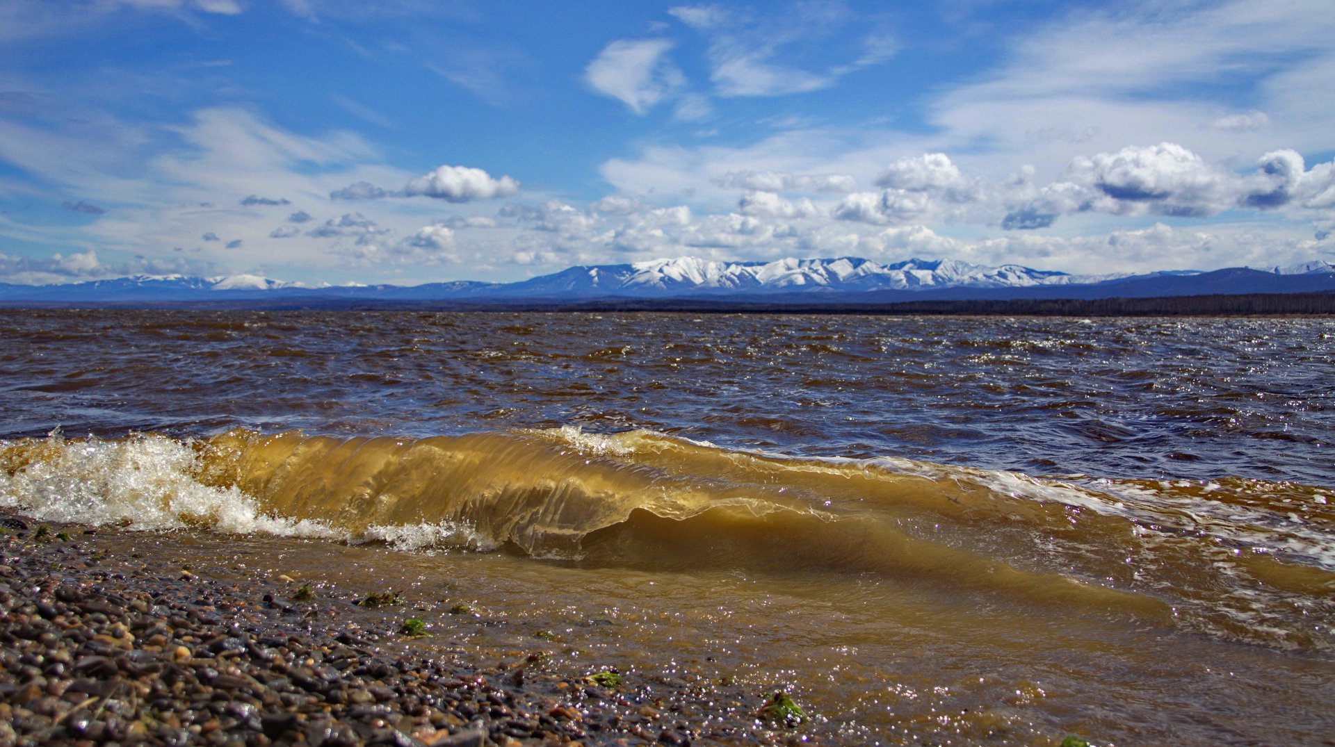 Амур-14.jpg