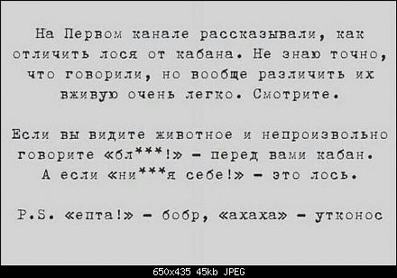 Анекдот.jpeg