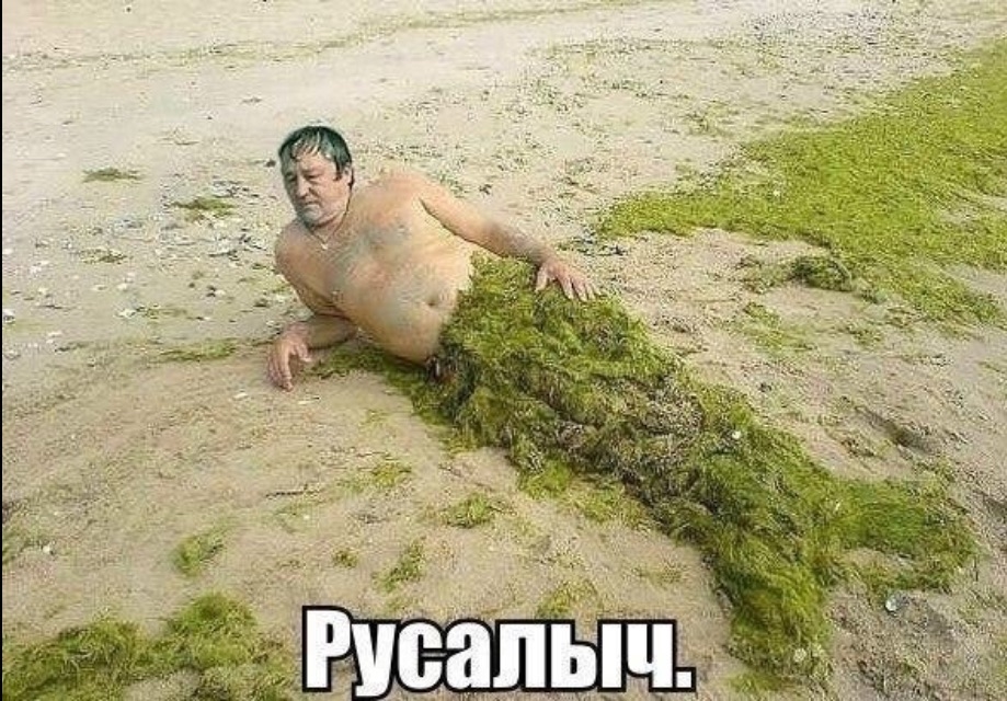 апп.jpg