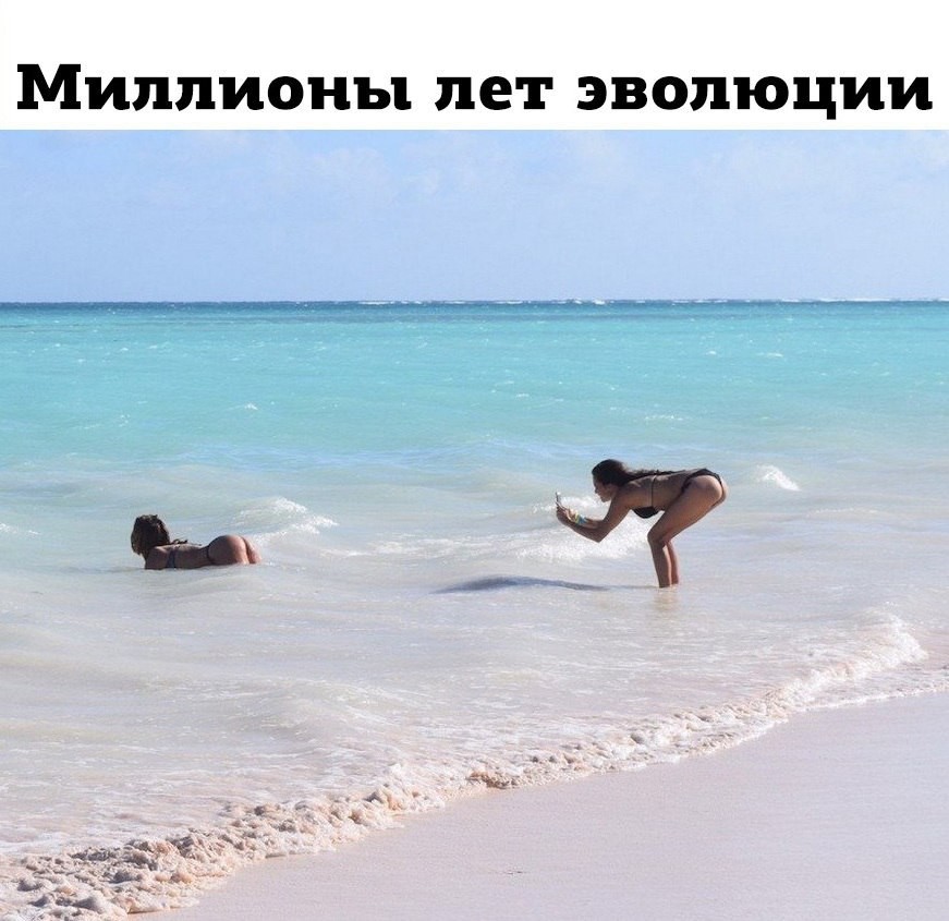 апп.jpg