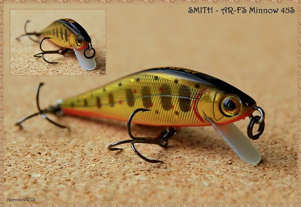 AR-FS Minnow.jpg