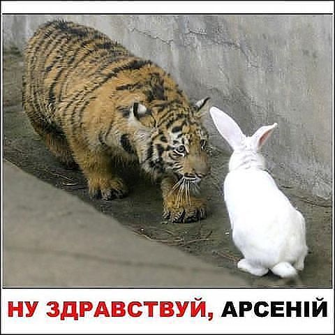 арсений.jpg