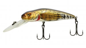 Asakura-Bullhead-6-DR-F.jpg