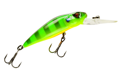 Asakura_Bullhead_DR-F.jpg