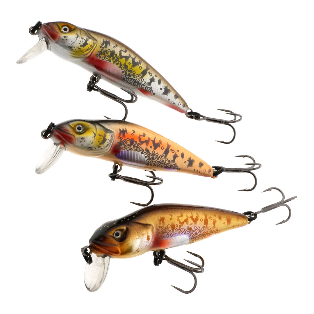 asakura_bullhead_inst1.JPG