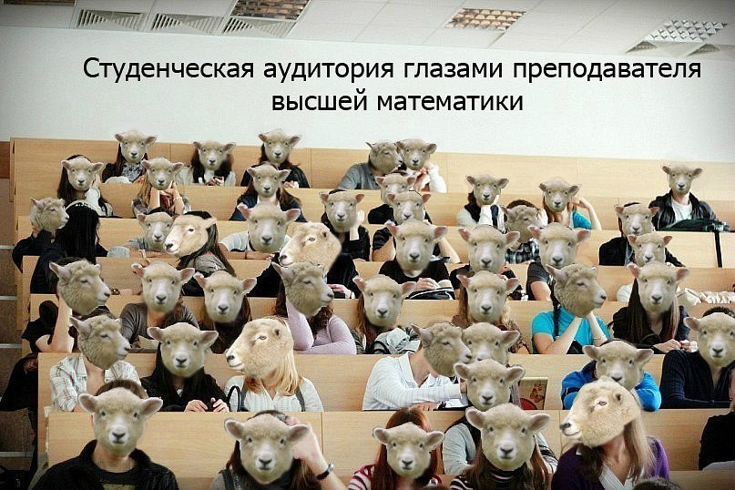 Аудитория.jpg