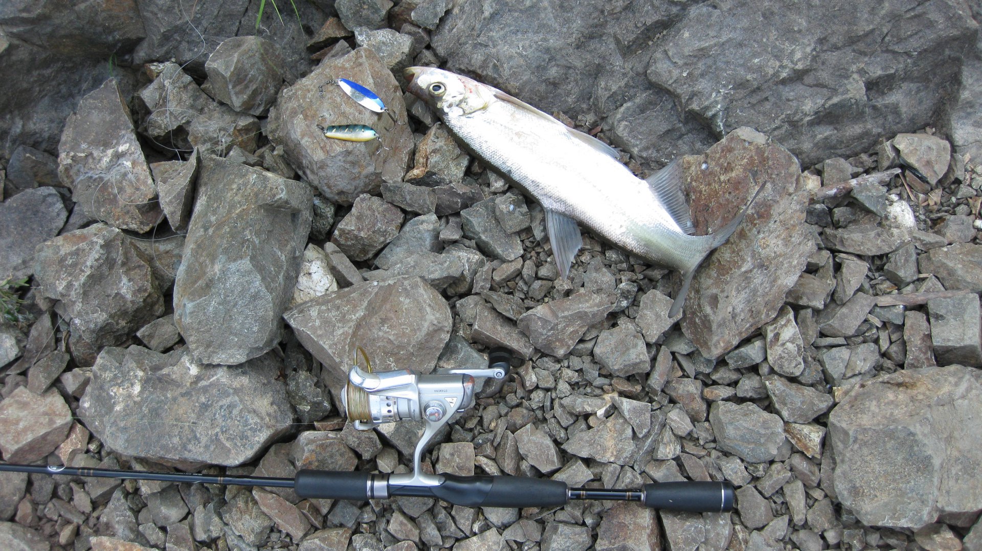 авг02 хумми1.JPG