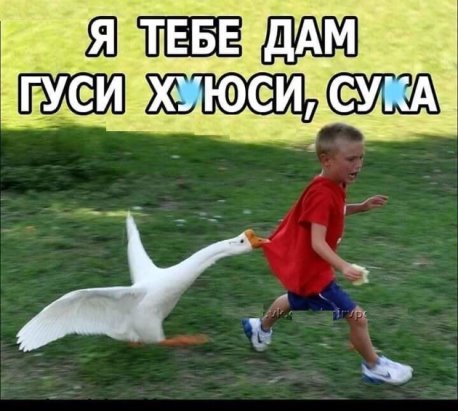 аы.jpg