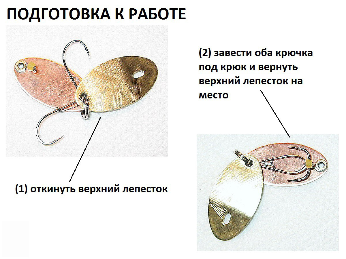 b-002.jpg