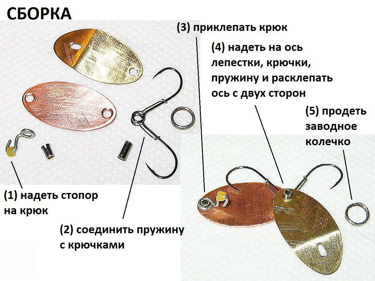b-004.jpg