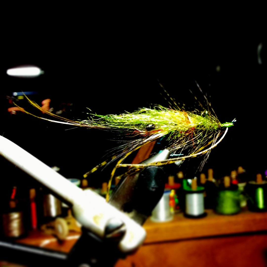 B2807040-7B1A-473F-B0D4-947A9D67638D.jpeg