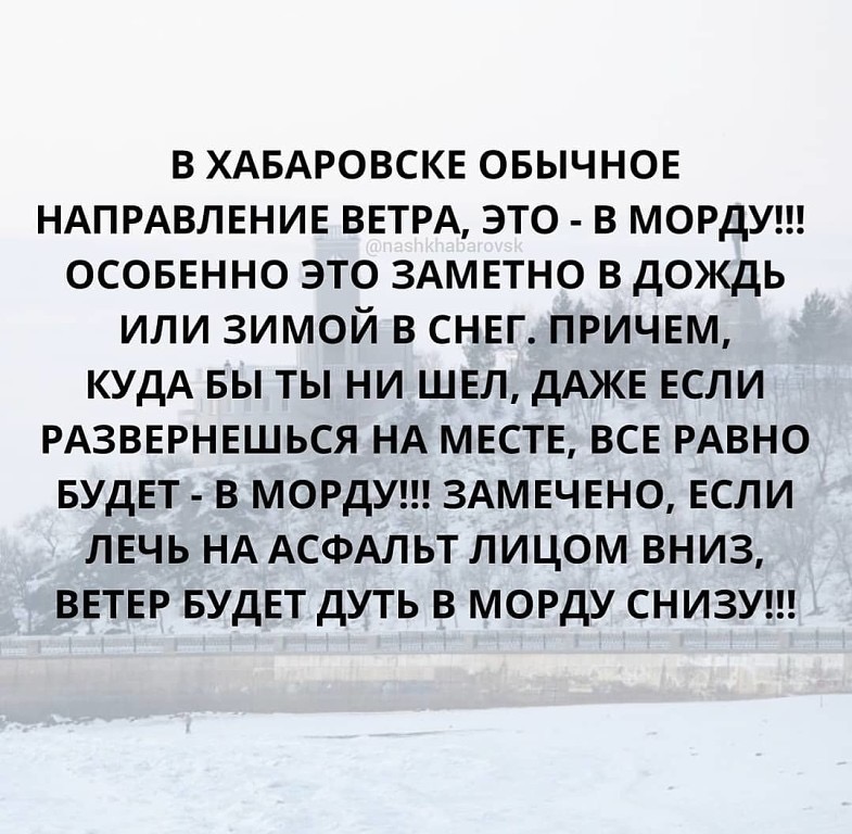 B4EA7597-3150-469B-BB96-FAD7D93B8730.jpeg