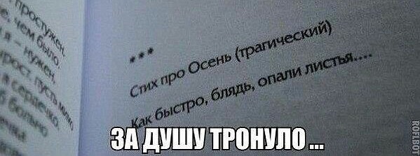 B501FB75-2CBD-434B-AAF2-5C665810AB8C.jpeg