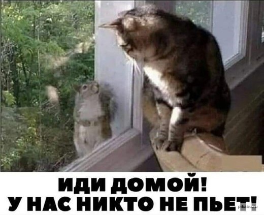 B5B023F4-1492-49EA-AF1A-FF3F4FE3C94C.jpeg