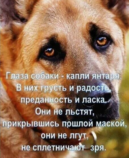 B6156231-0BB3-4CED-BAE4-5BCA9C6A6714.jpeg