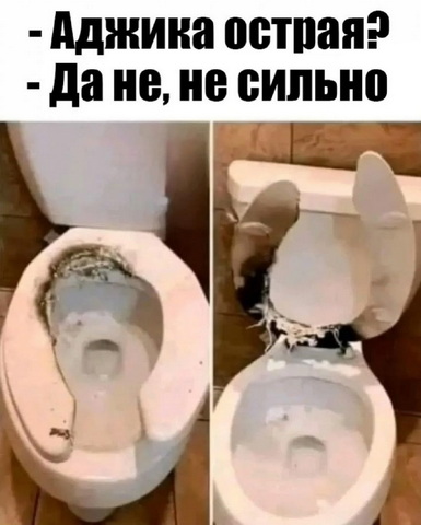 b65f1cb2419be432e759dfcf94a2a3ee.jpg