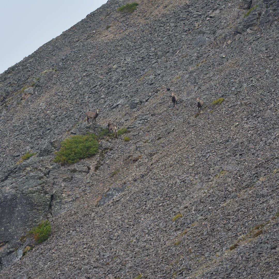 BA760445-9D9E-4CCC-A2DA-5973CF369450.jpeg