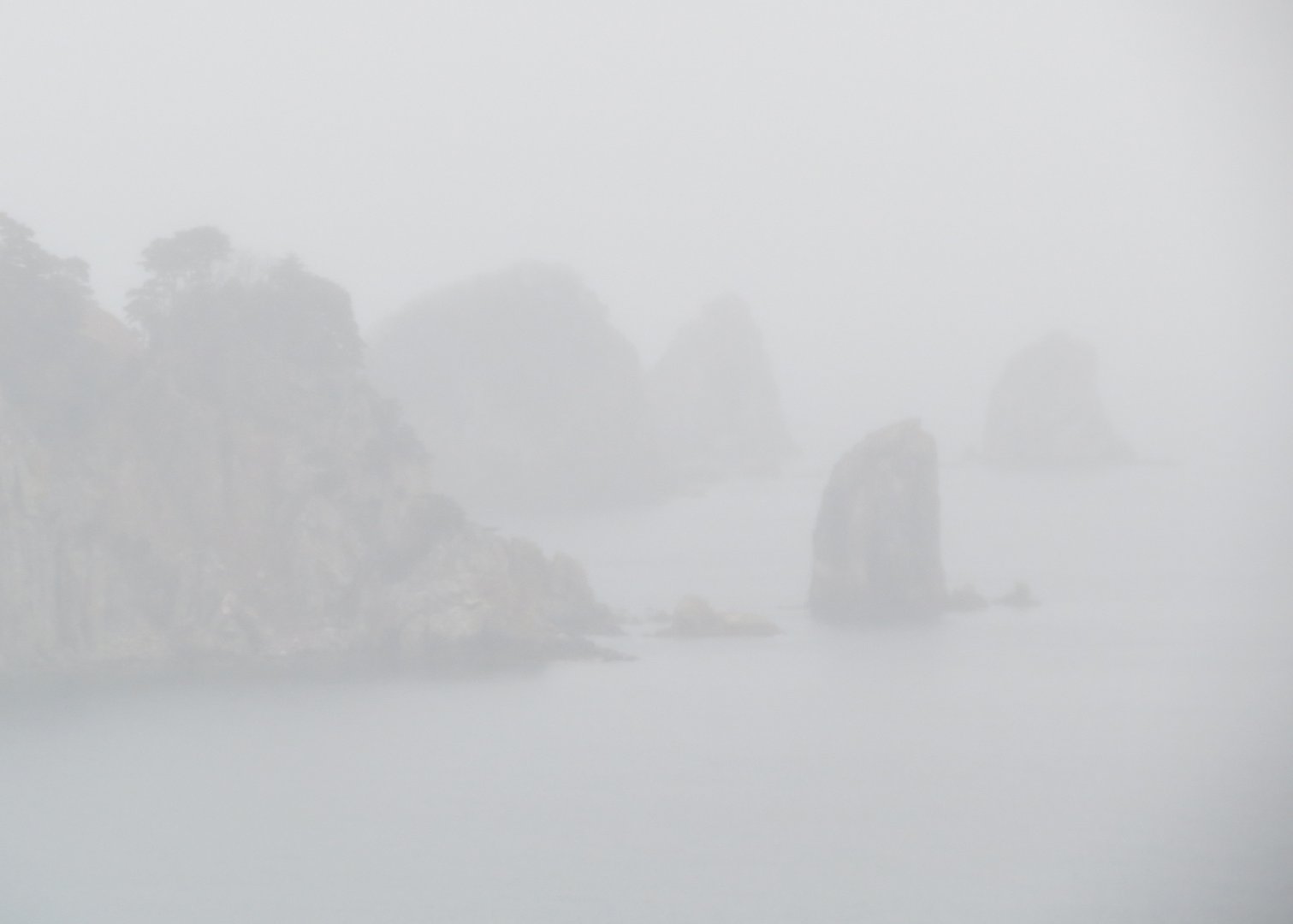 Бакланьи в тумане.jpg
