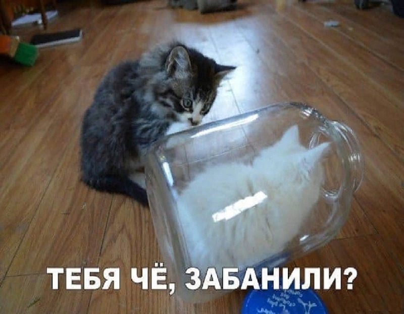 Бан.jpg