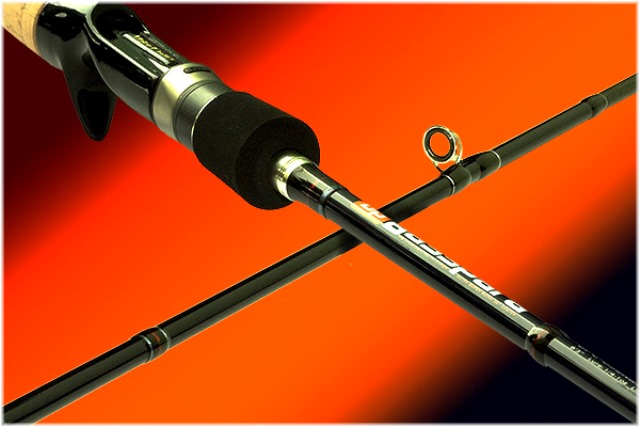 Basspara-casting-banner.jpg