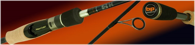 Basspara-spinning-banner.jpg