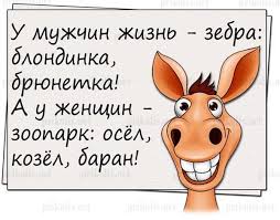 Без названия (18).jpg