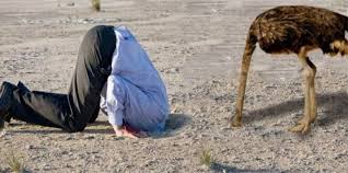 Без названия.jpg